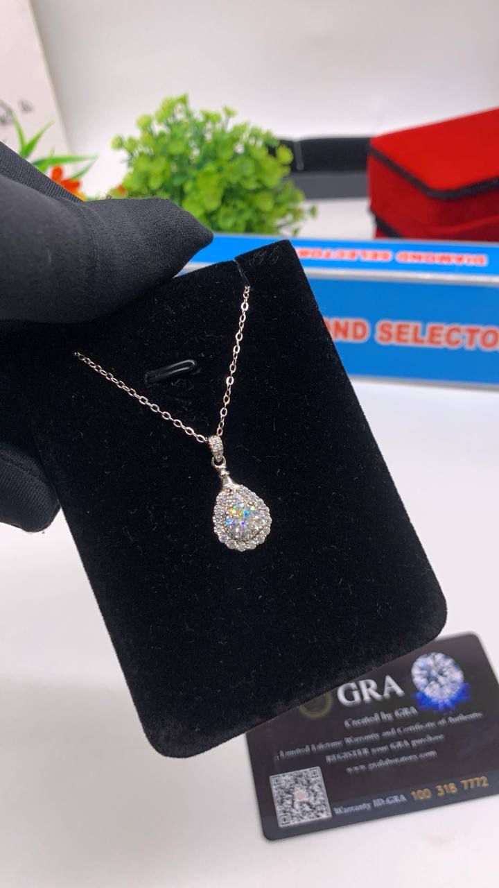 WhatsApp Image 2025-09-27 at 12.44.19 PM